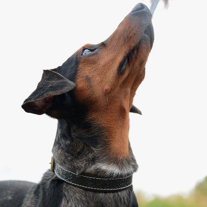 Artisanal Sable Black Leather Dog Collar