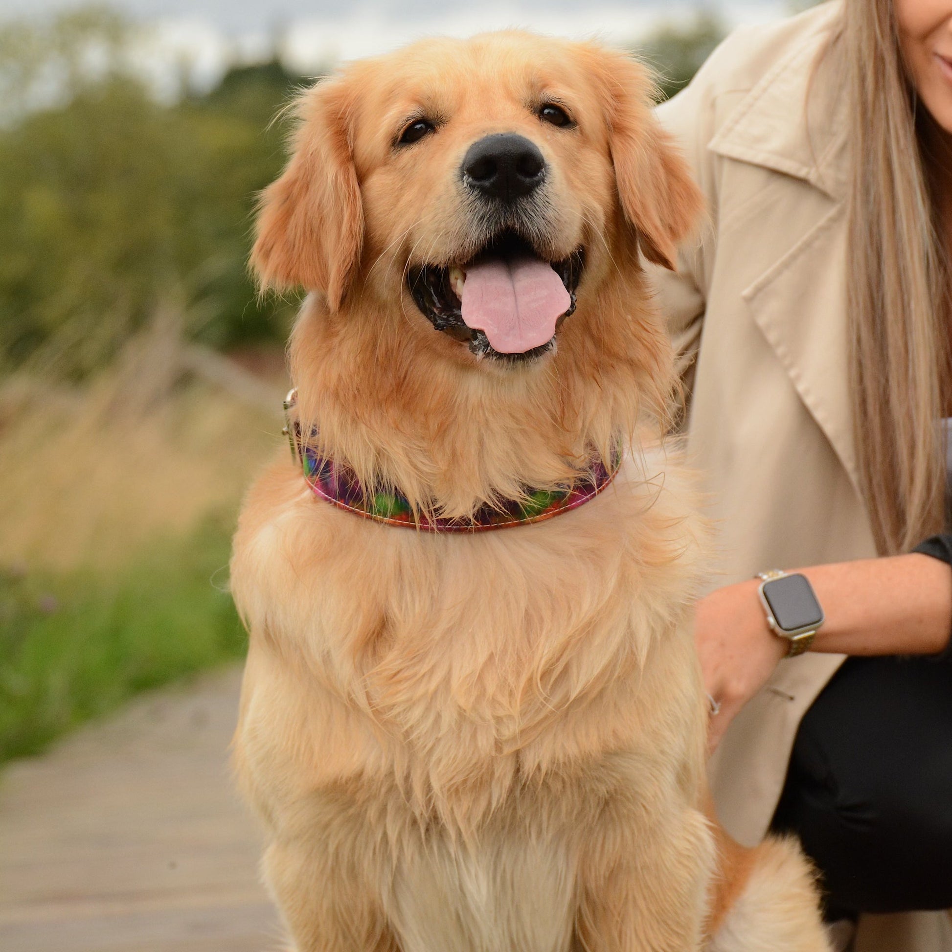 Azure Sunset Leather Dog Collar - Pawchou