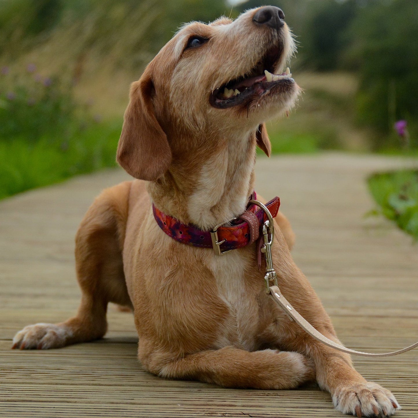 Azure Sunset Leather Dog Collar - Pawchou